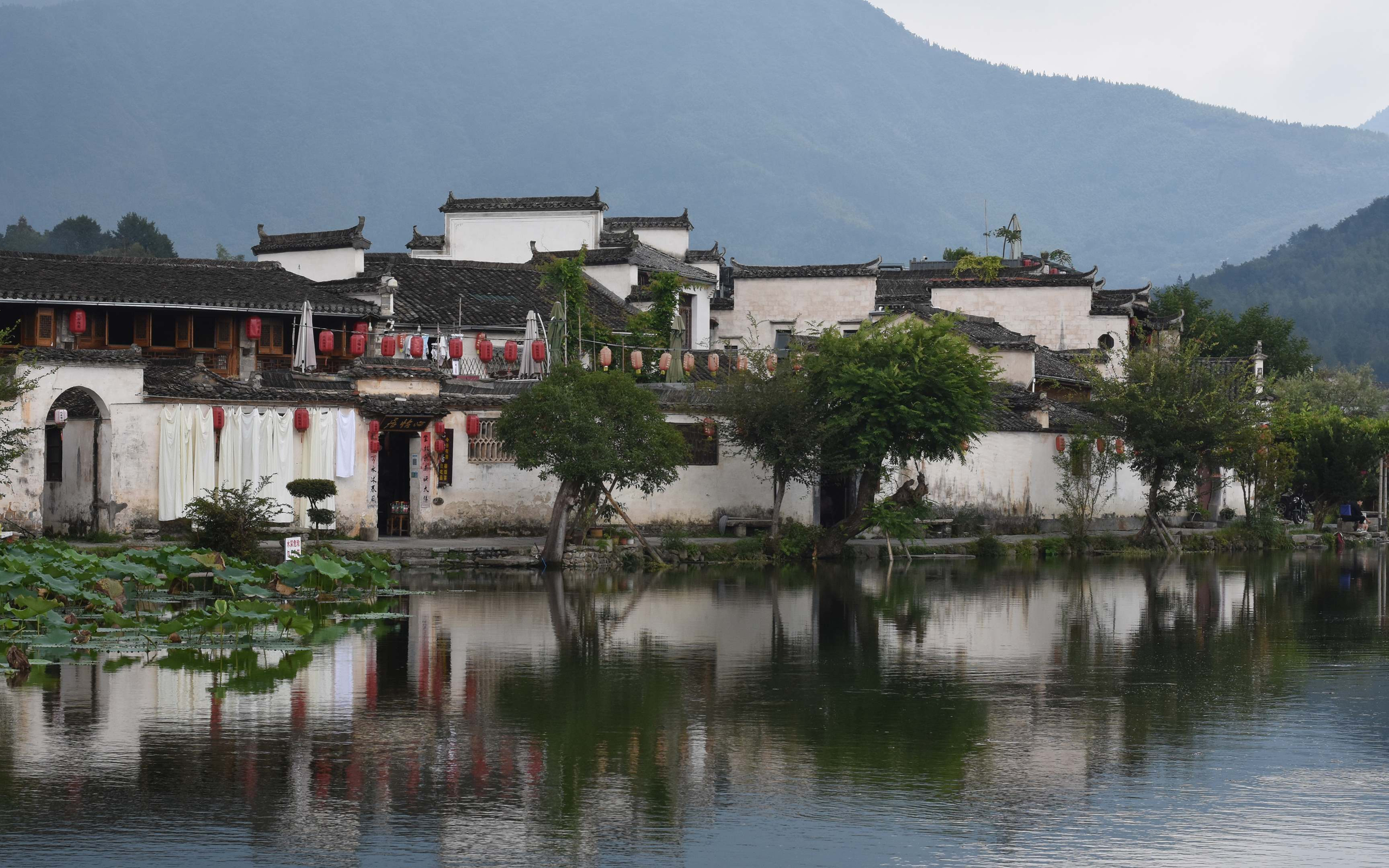 令人费解的条例15：让我得见祢荣面