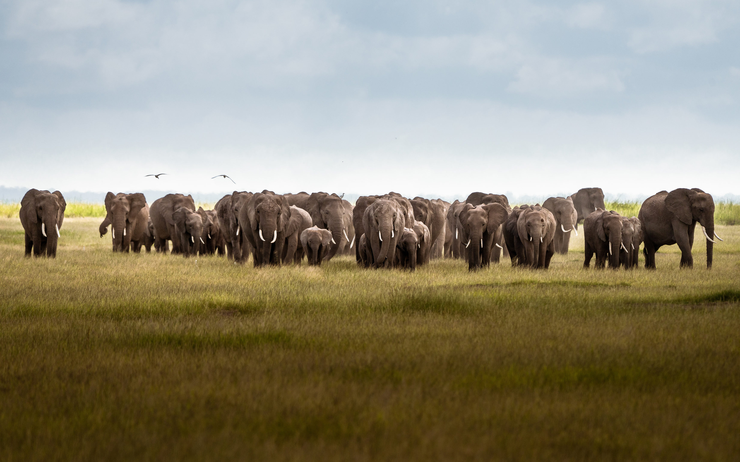 【基本信仰28条】-第1条-圣经上帝的圣言