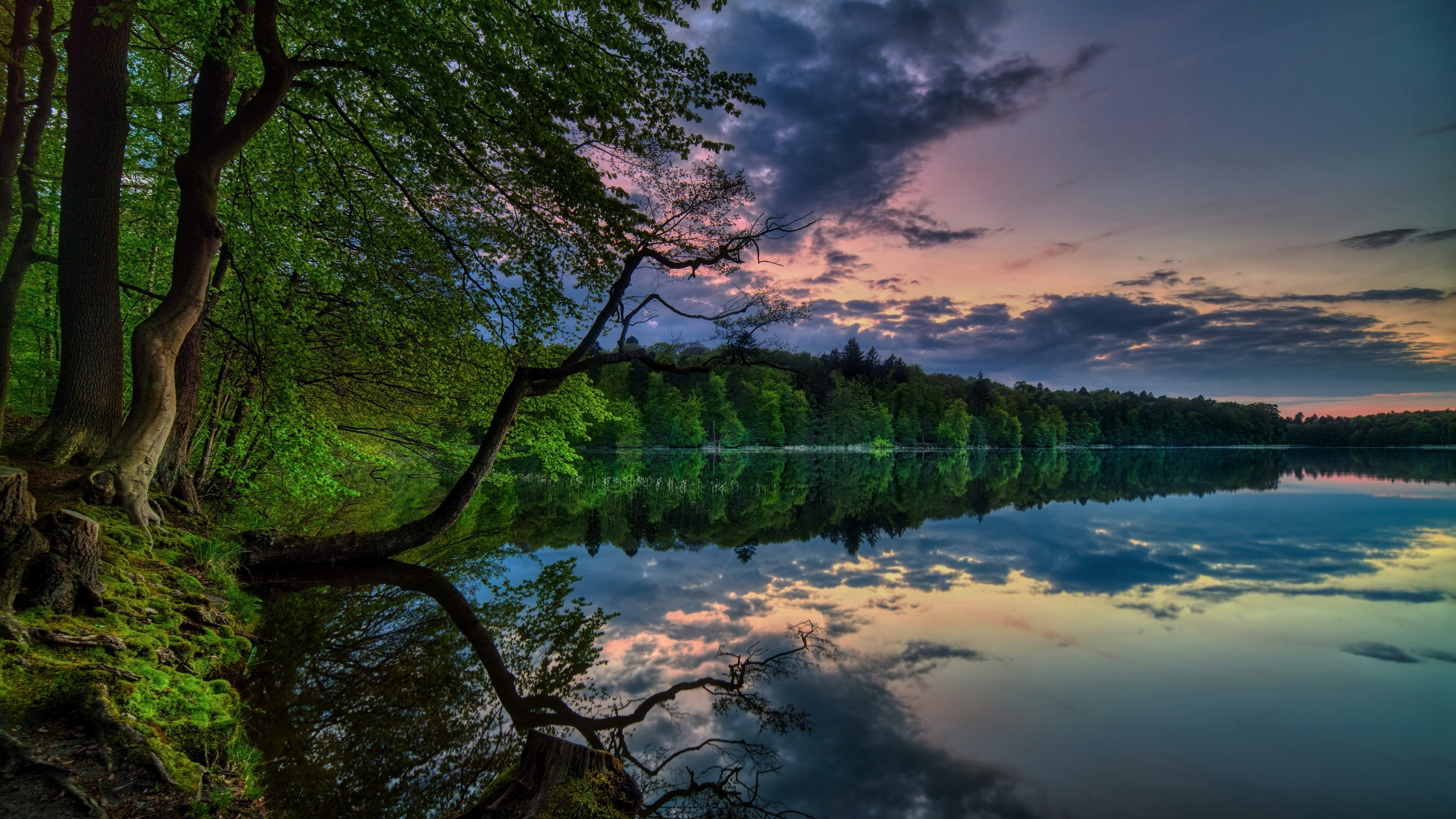 【基本信仰28条】-第22条-基督徒的品行