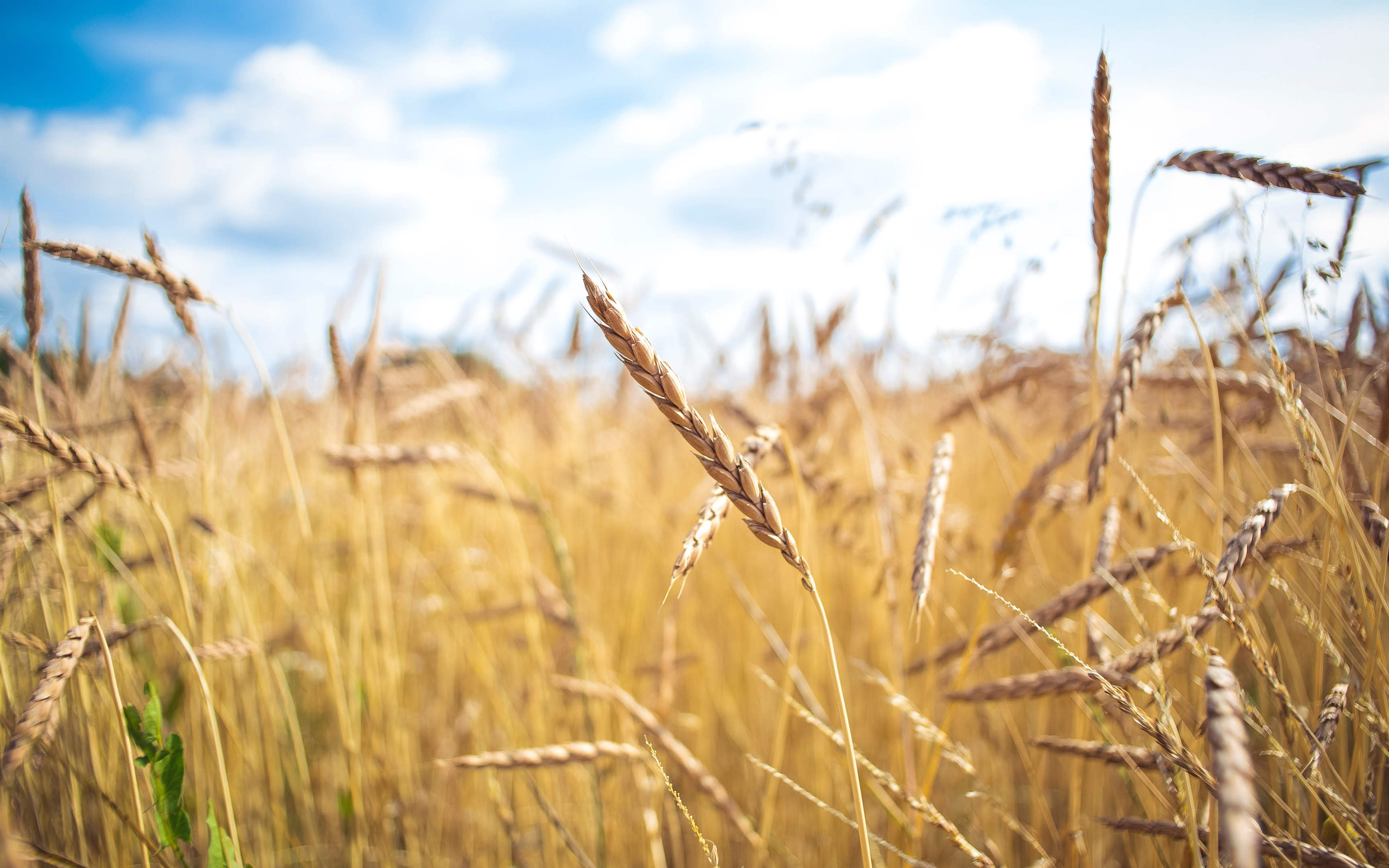 信仰方程式-第04集-认罪离罪