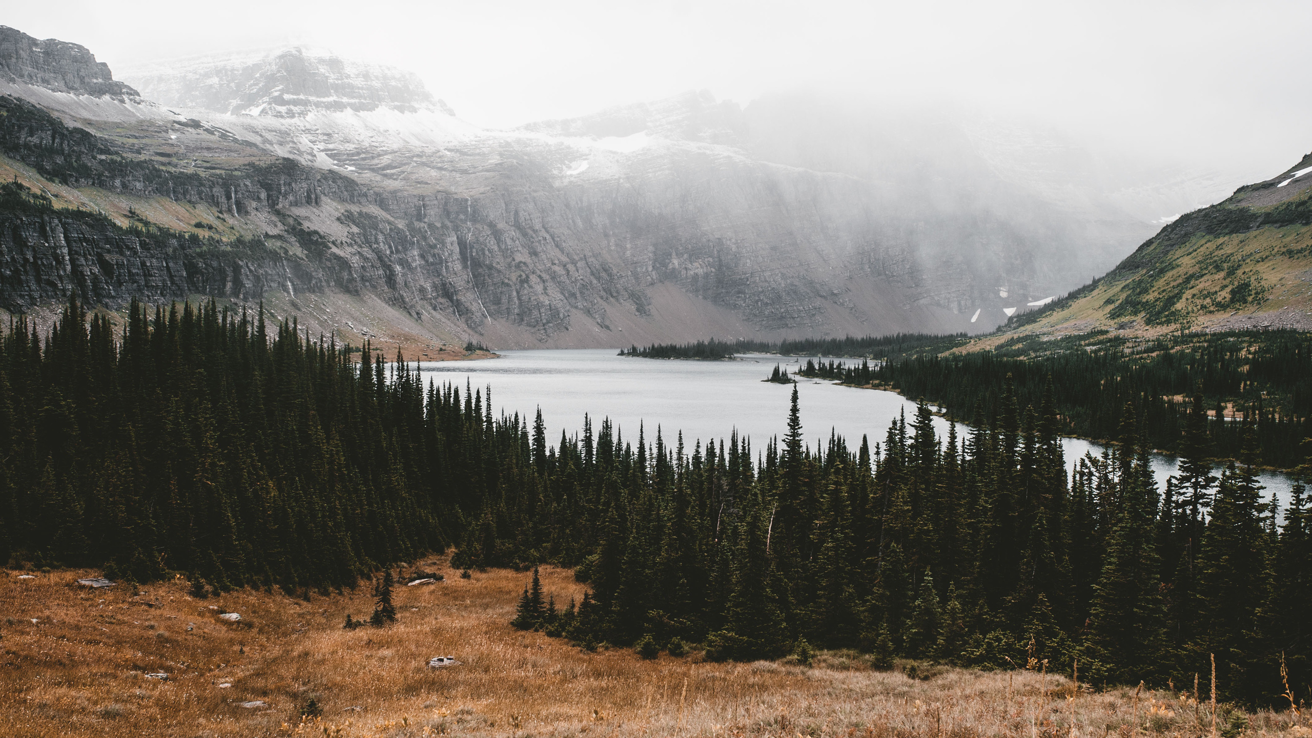 奇妙真相-【信心的勇士】-超卓的信心