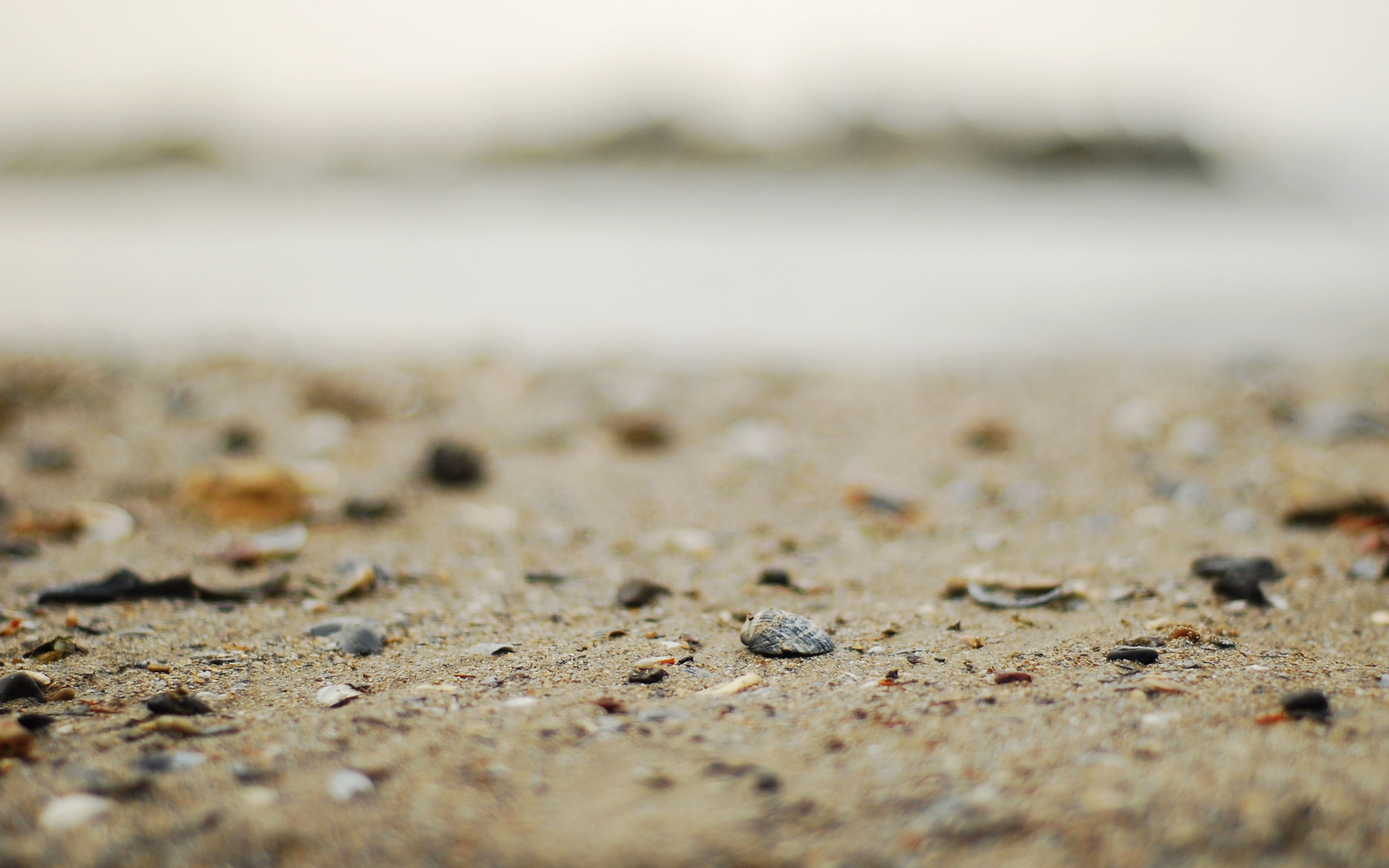 出埃及记中的基督（七）