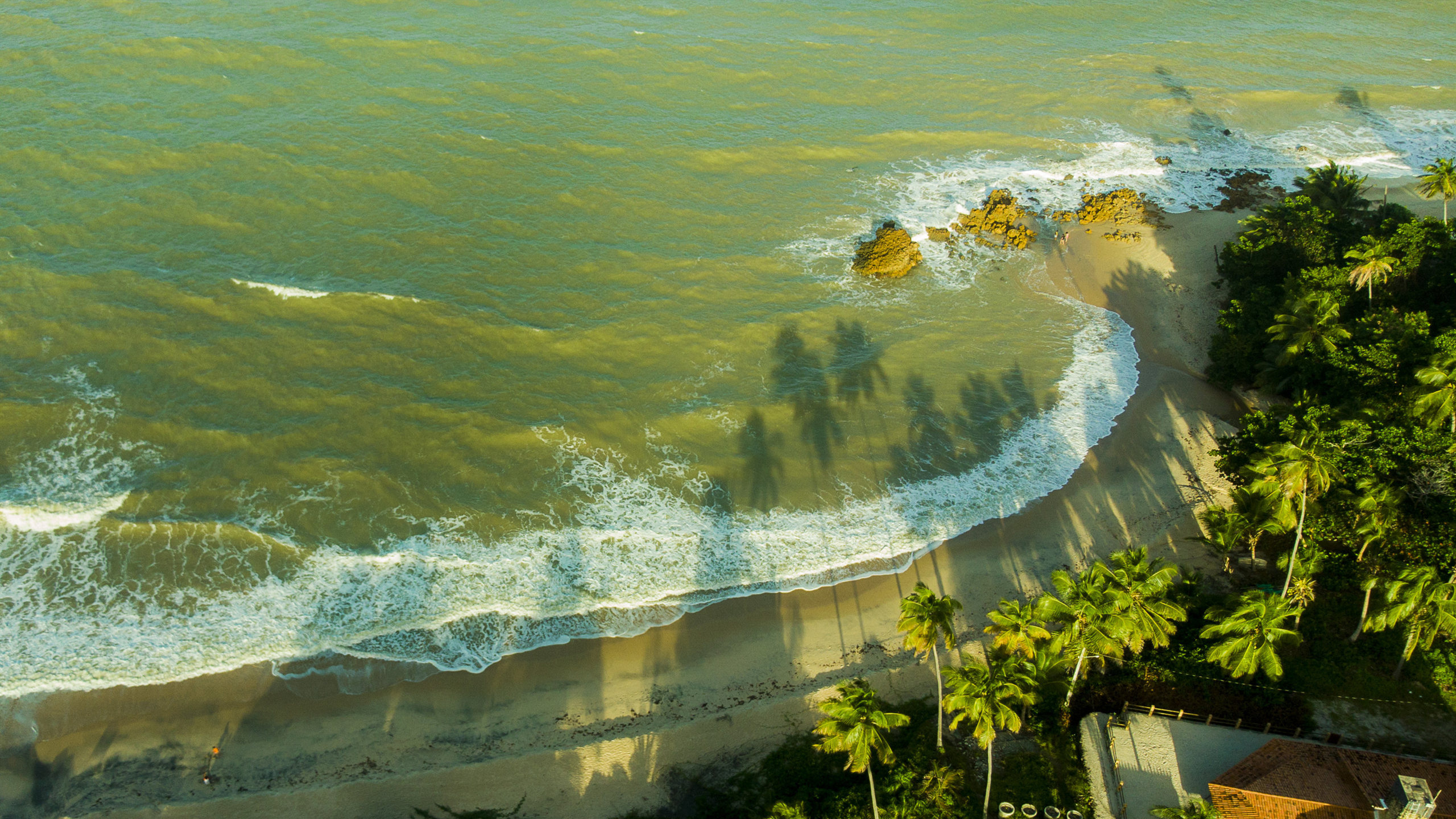 陈牧师婚恋观分享