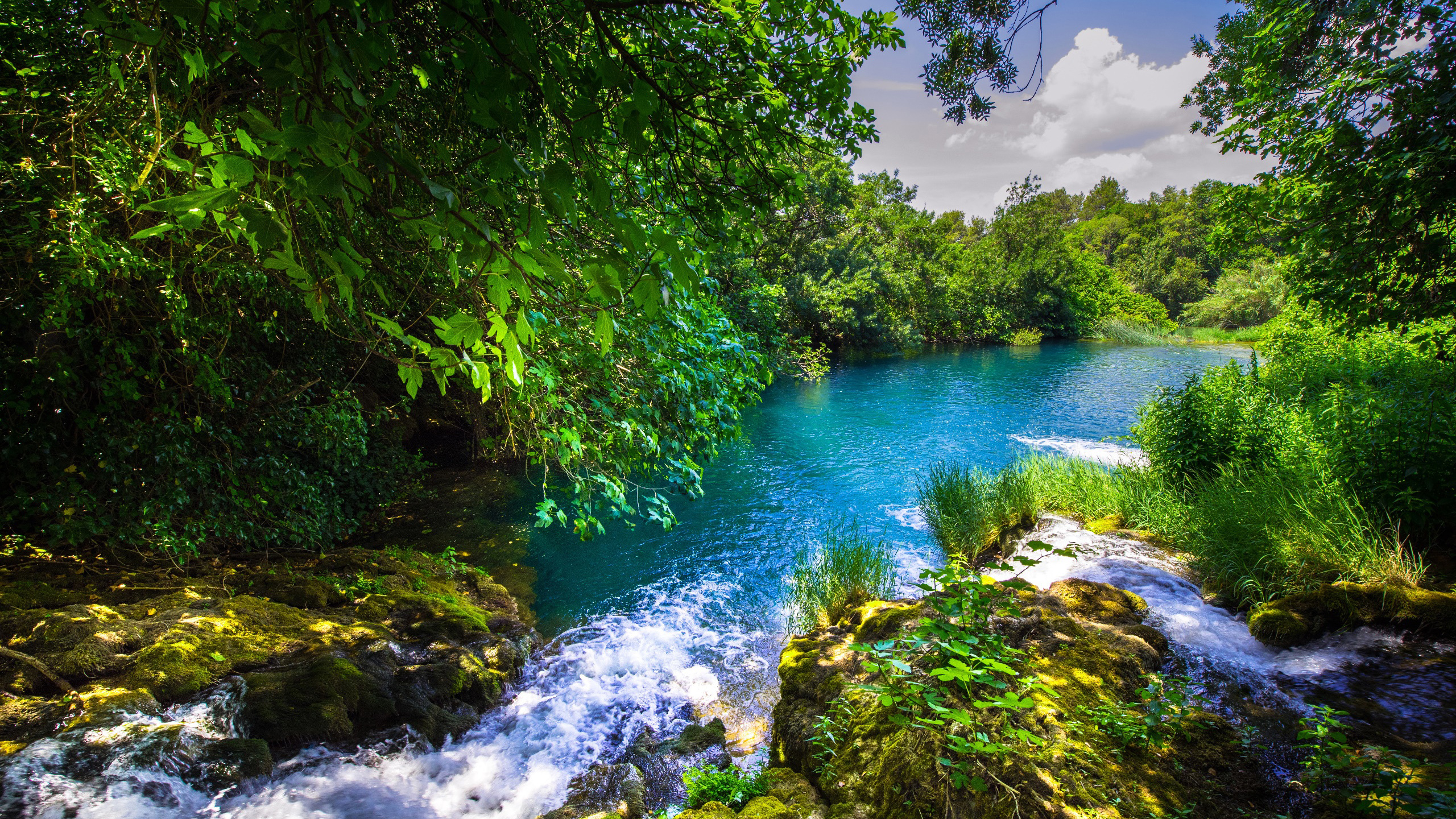 祷告的特权-第04集-祷告与禁食