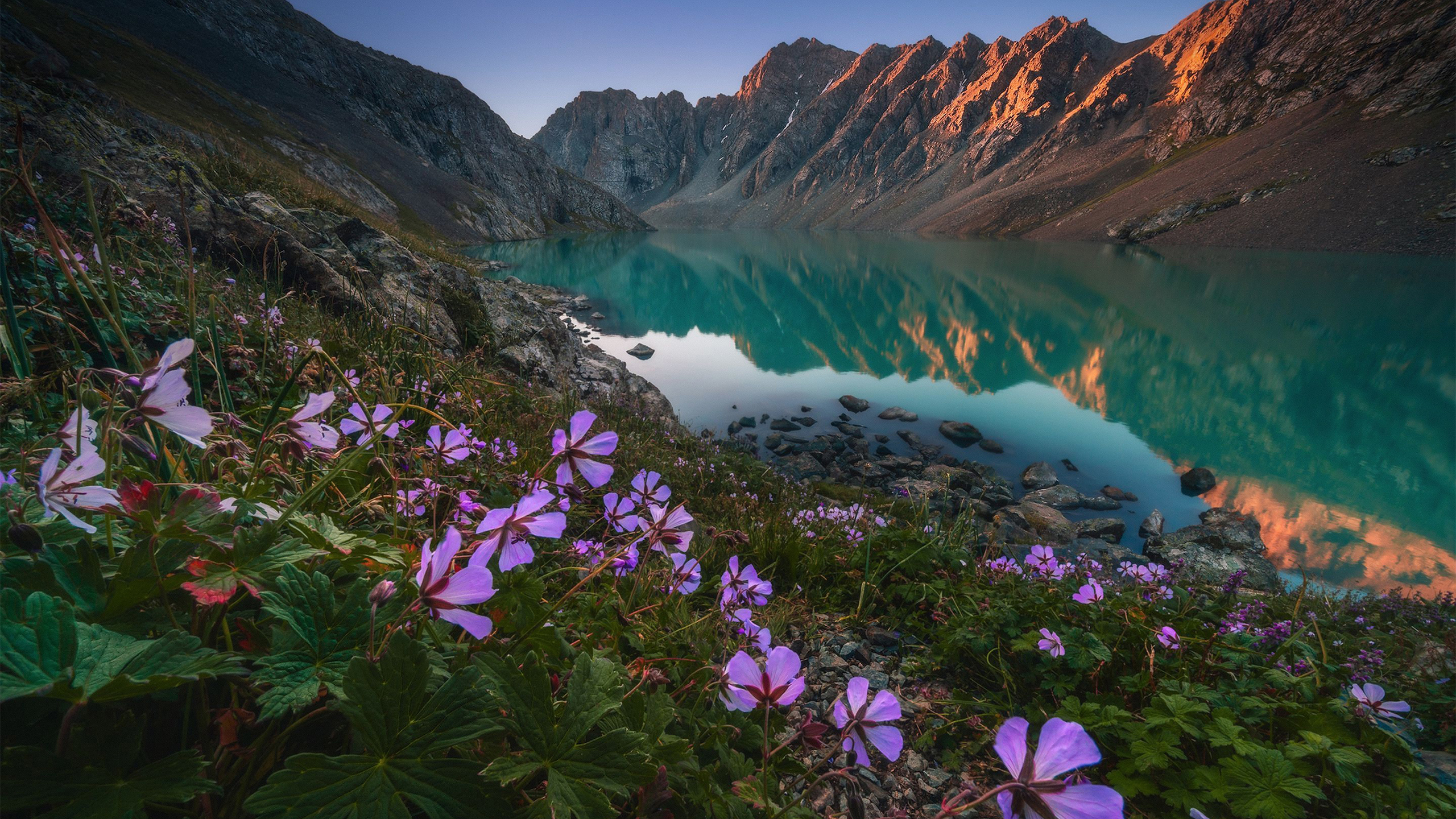 教会历史15-英格兰的改革和天主教的应对