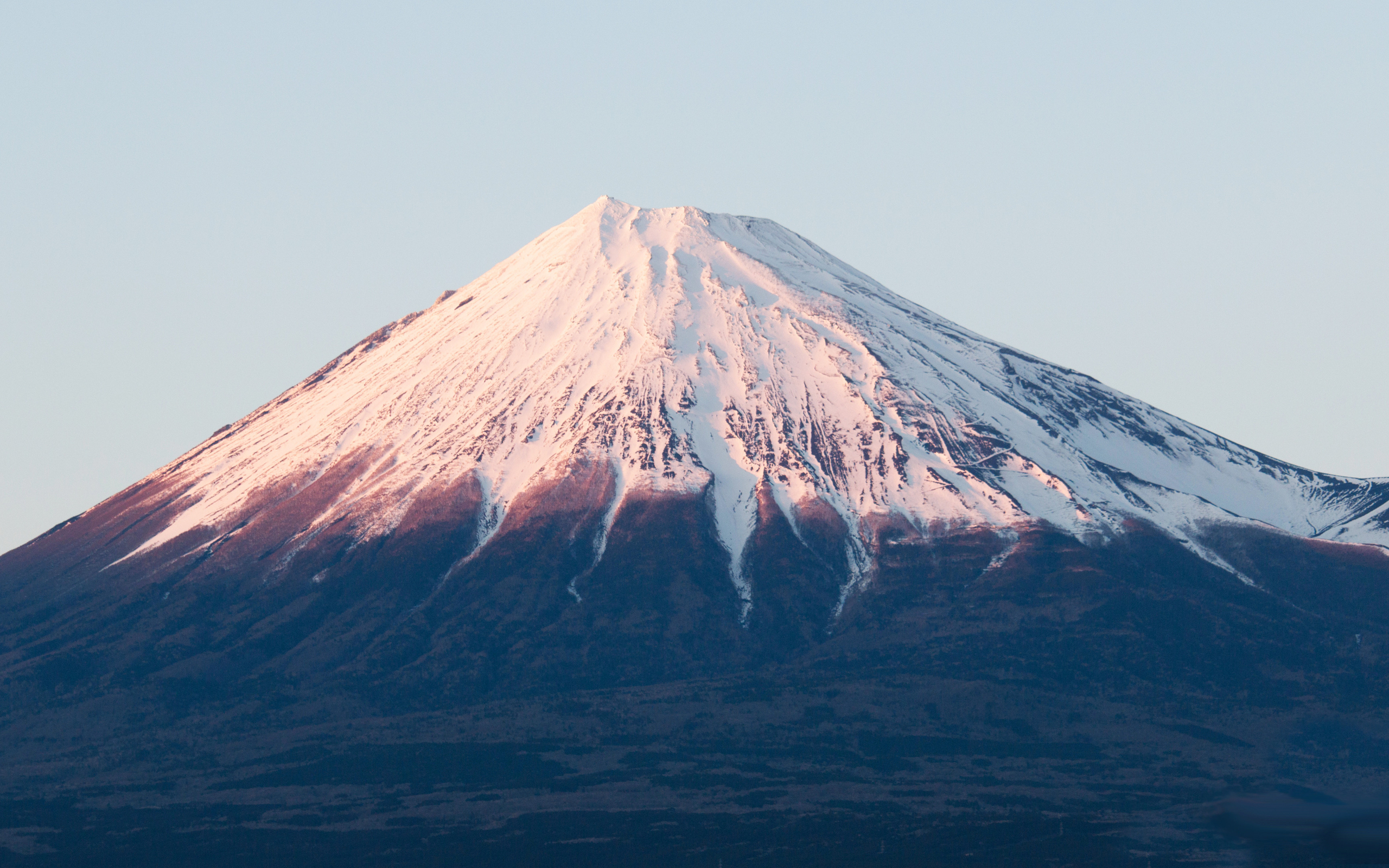 【基本信仰28条】-第21条-管家