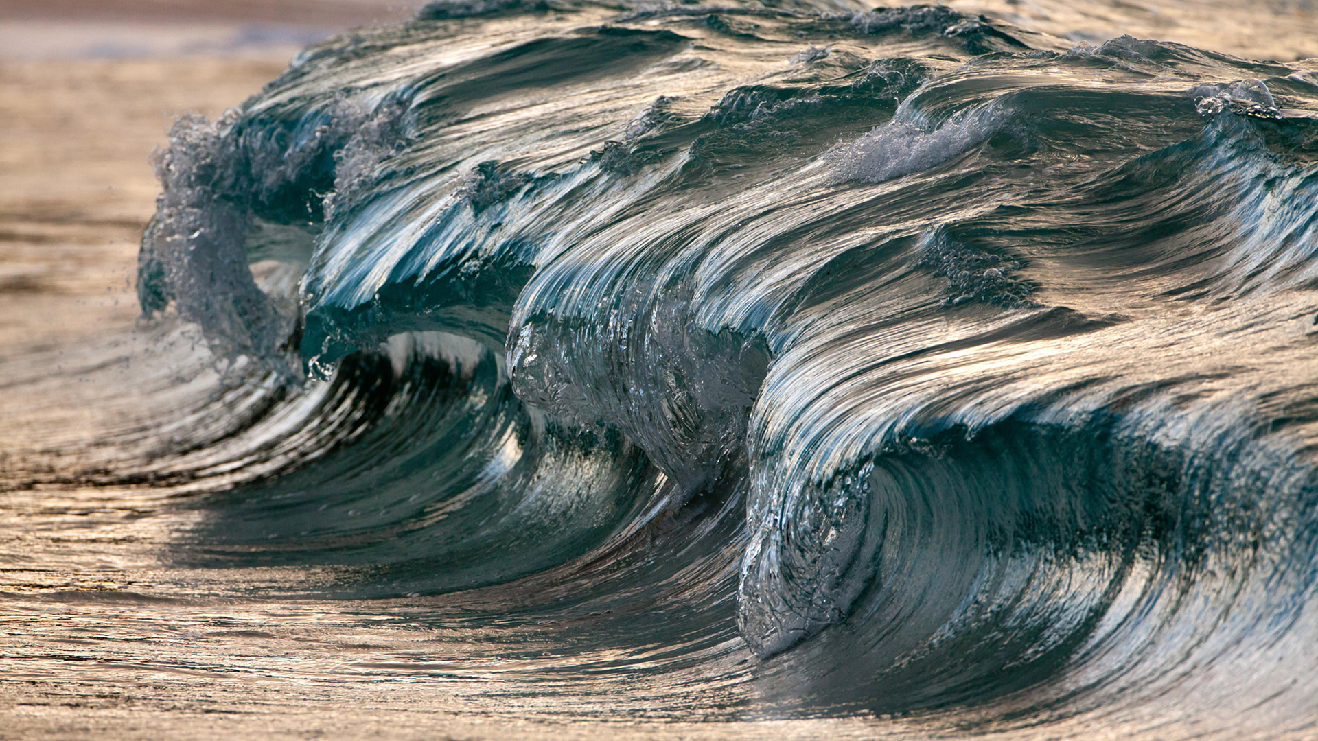 《彼得前书》第三讲： 谨慎自守