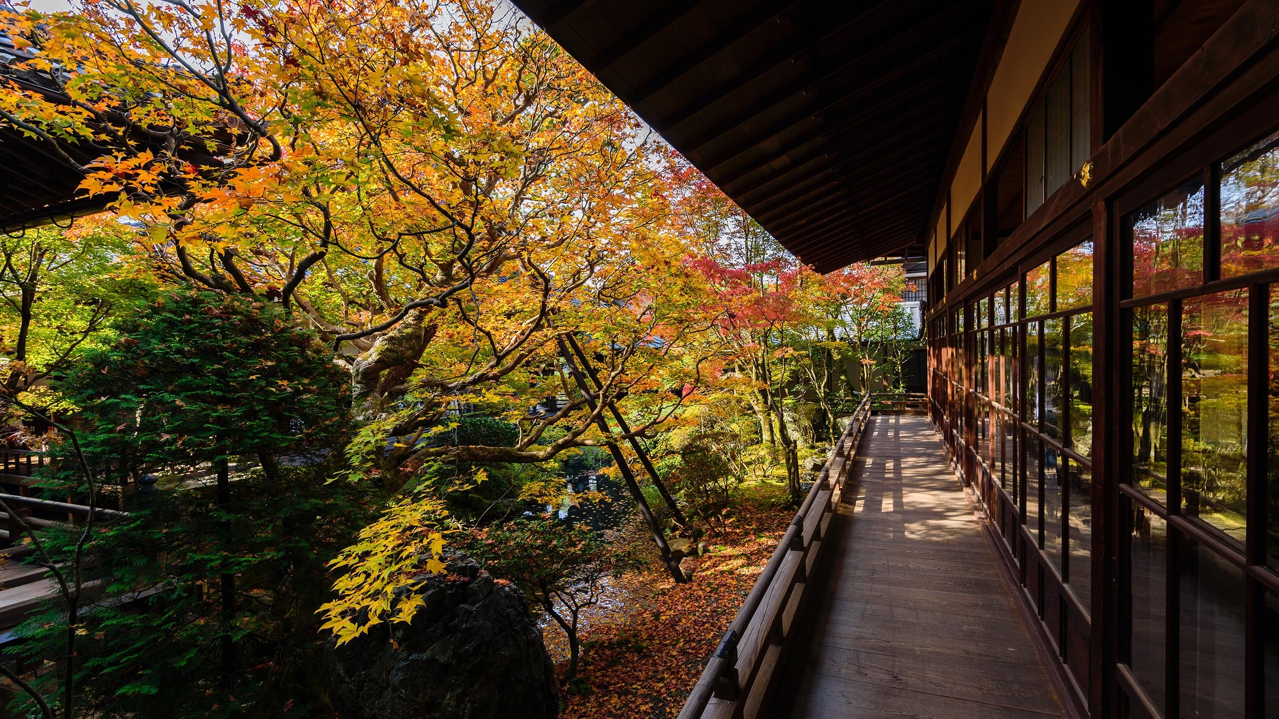 【基本信仰28条】-第17条-属灵的恩赐与职事