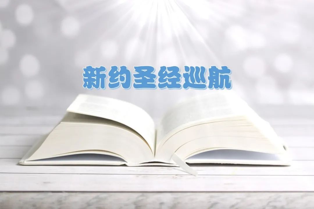 《以弗所书》第一讲：同归于一