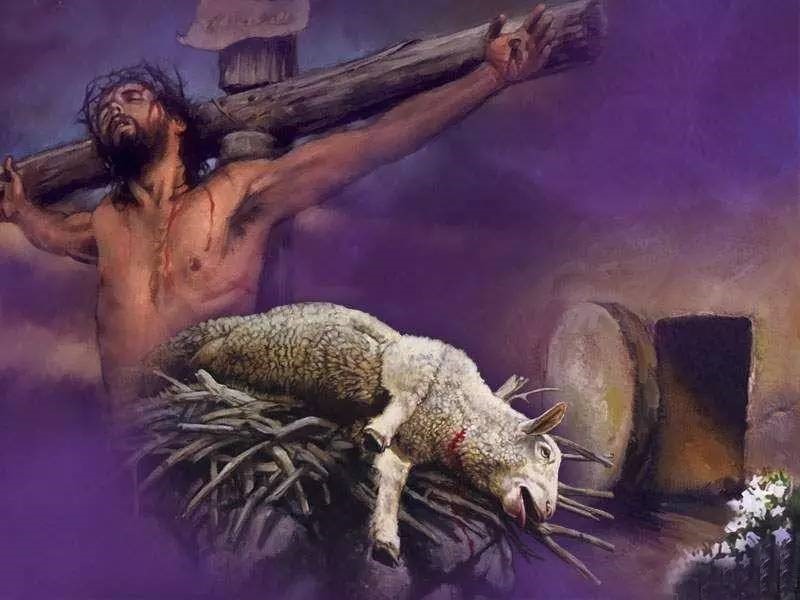 【复临运动信仰的根基与柱石】15